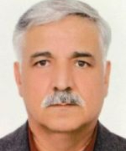 Mehmet Nuri Bay
